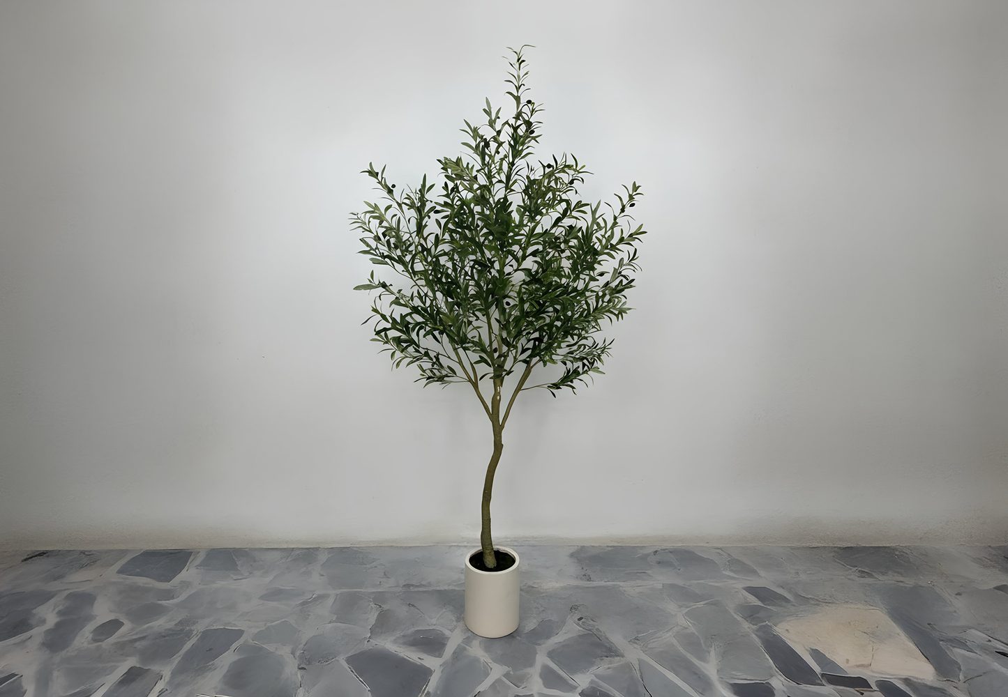 Elegant Mediterranean Olive