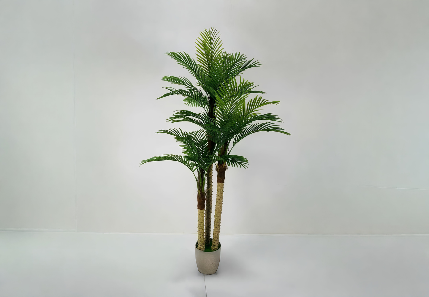 Tropical Palm