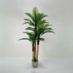 Tropical Palm